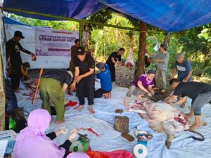 Salimah Babel Laksanakan Pemotongan dan Pembagian Hewan Kurban